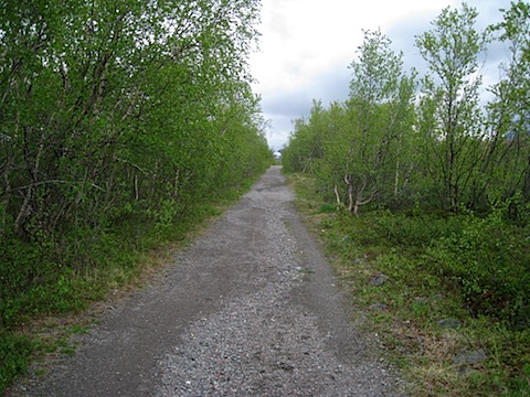 Abisko Juni 2009 Dag 2 - 36.jpg